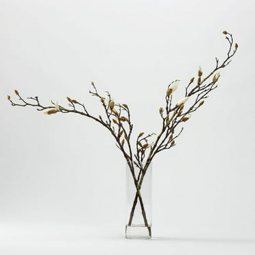 D & W Silks Magnolia Stems in Glass Cylinder