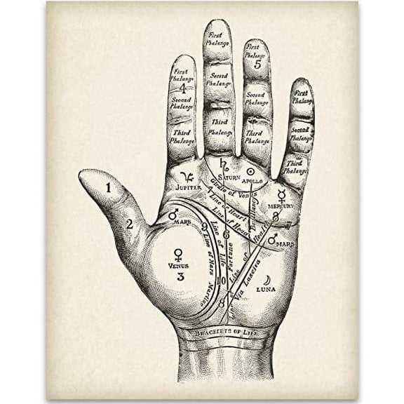 Vintage Palm Reading Chart - 11x14 Unframed Art Print - Great Gift for Fans of the Occult, Supernatural and Astrology