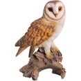 thumbnail image 1 of Statue Réaliste de Barn Owl Perchée sur Souche d'Arbre avec Yeux en Verre 13,75 Po H, 1 of 4