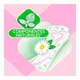 thumbnail image 3 of Protectores diarios Saba Confort manzanilla largo  40 pzas, 3 of 4
