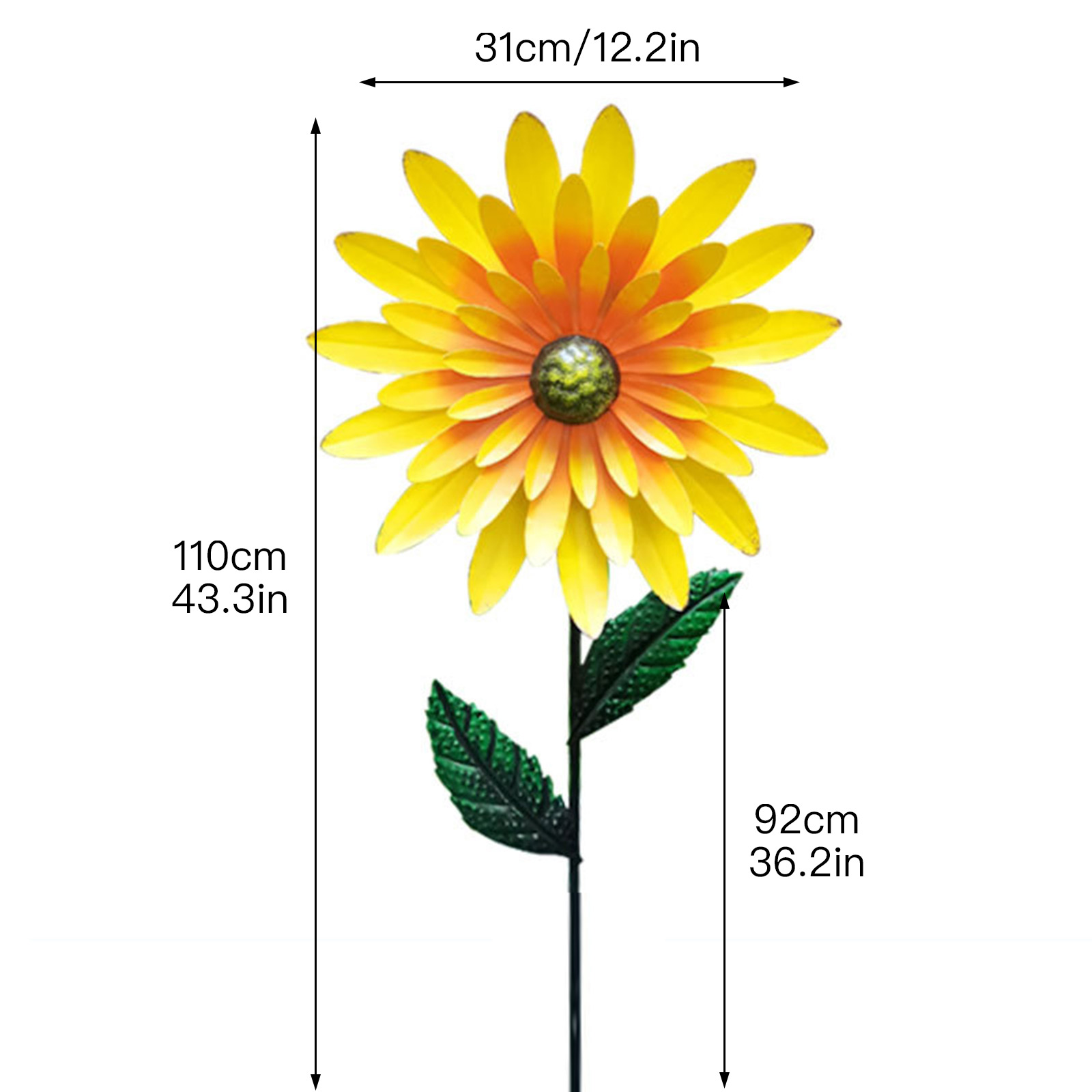 Parts of a daisy flower diagram