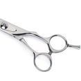 thumbnail image 4 of Master Grooming Tools TP6581 80 MGT 5900 Japanese SS Straight Shears 8 In, 4 of 4