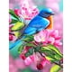 thumbnail image 1 of Diamond Painting (DE8087) 5D fai da te quadrati fiori uccelli decorazioni per la casa (NY041) 45x60 cm FLhrweasw Nuevo, 1 of 1