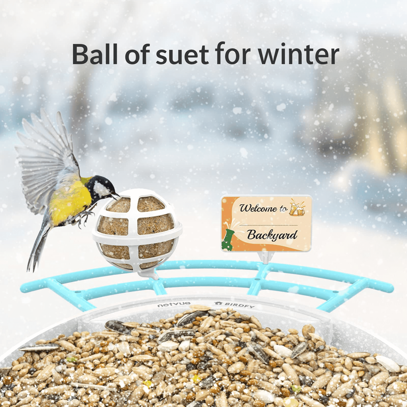 Netvue Birdfy Pro Perch - Wider Extension Perch to DIY Add-ons Including Suet Ball, Mini Hummingbird Feeder, Fruit Holder, Jelly Feeder and Welcome Card, Birds