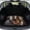 Western Horse, variant on Qpednta Cheetah Print Cargo Liner 29"x39" Rear Trunk Mat Non-Slip, Cargo Carpet Protects Factory Carpet from Dirt & Scratches Universal for Sedan SUV Truck Easy To Clean