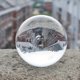 thumbnail image 4 of 2X Transparente Bola de Cristal de Cristal Esfera de Sanación Esfera Curativa Fotografía Apoyos Bola Decoración 50mm, 4 of 5