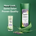 Suave Lavender and Almond Oil Conditioner Paraben Free Conditioner