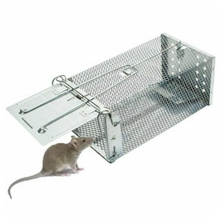 Gingbau Live Chipmunk Trap Humane Rat Mouse Cage Trap 