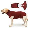 thumbnail image 5 of Dog Surgical Recovery Suit After Surgeries Bodysuit for Better Healing and Comfortable Home and Pet Salon Wound Protect, 5 of 9