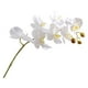 thumbnail image 1 of Orquídea Phalaenopsis artificial realista con tallo de flores falsas para mesa, 1 of 6