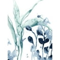 thumbnail image 2 of Vess, June Erica 19x24 White Modern Wood Framed Museum Art Print Titled - Blue Kelp I, 2 of 4