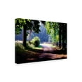 thumbnail image 2 of Trademark Fine Art 'Path Into The Woods Burgundy France' Canvas Art by Monte Nagler, 2 of 3