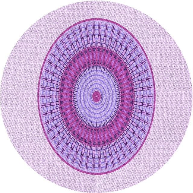 Ahgly Company Tapis de Zone Rond Transitionnel Violet pour Intérieur Lavable à la Machine, 3 Pieds Rond