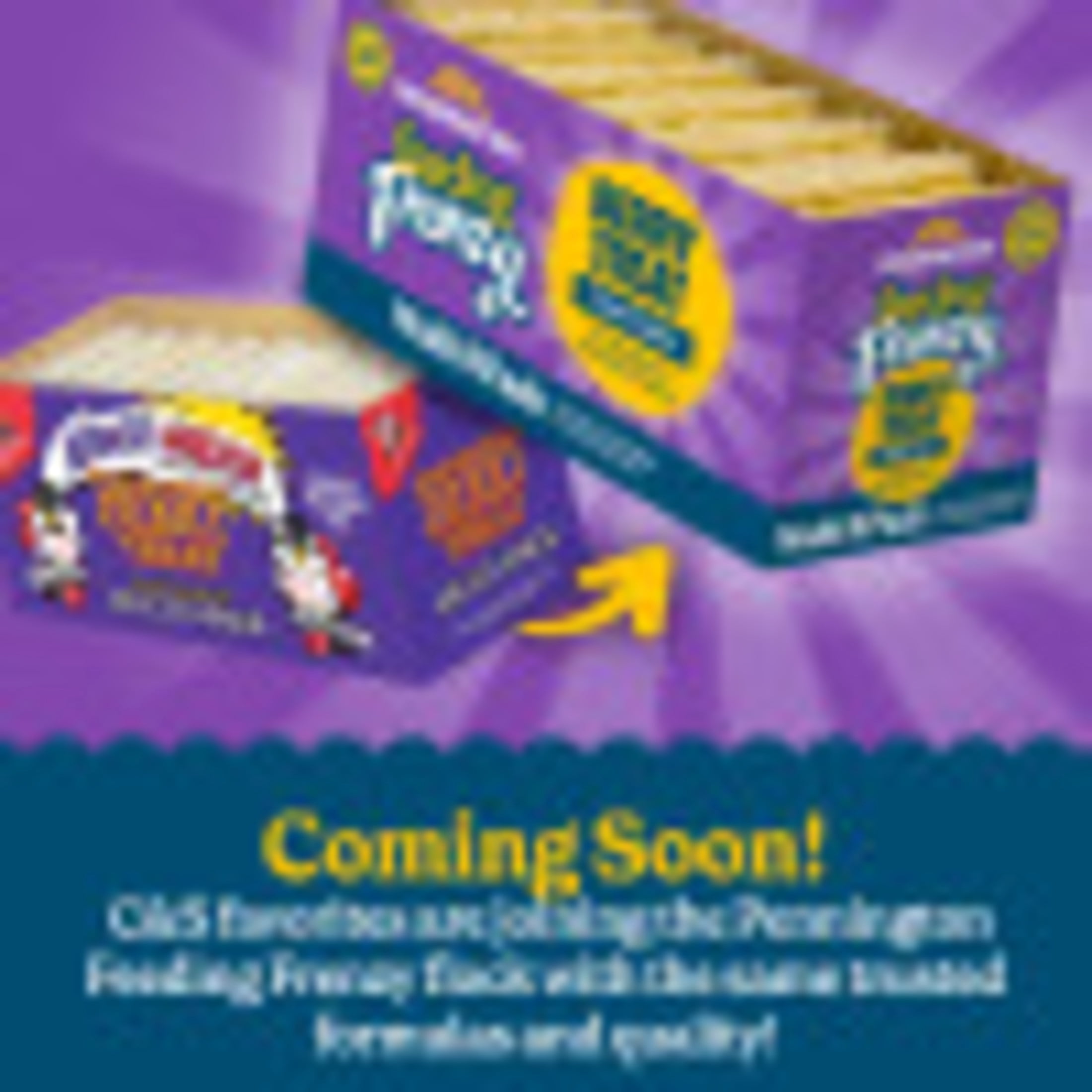 (3 pack) C&S Berry Suet Treat 11.75 Ounces 8 Pack