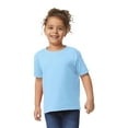 thumbnail image 5 of Gildan Toddler Heavy Cotton T-Shirt, Short Sleeve Taped Neck Shirt, Light Blue Tee, Size 3T, 5 of 5
