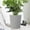 Gray, variant on VAJUSO Automatic Self-Watering Flowerpot Plastic Circular Planter, 6.49x7.08in, Indoor & Outdoor Use, Low Maintenance, Home Garden Decoration(White)