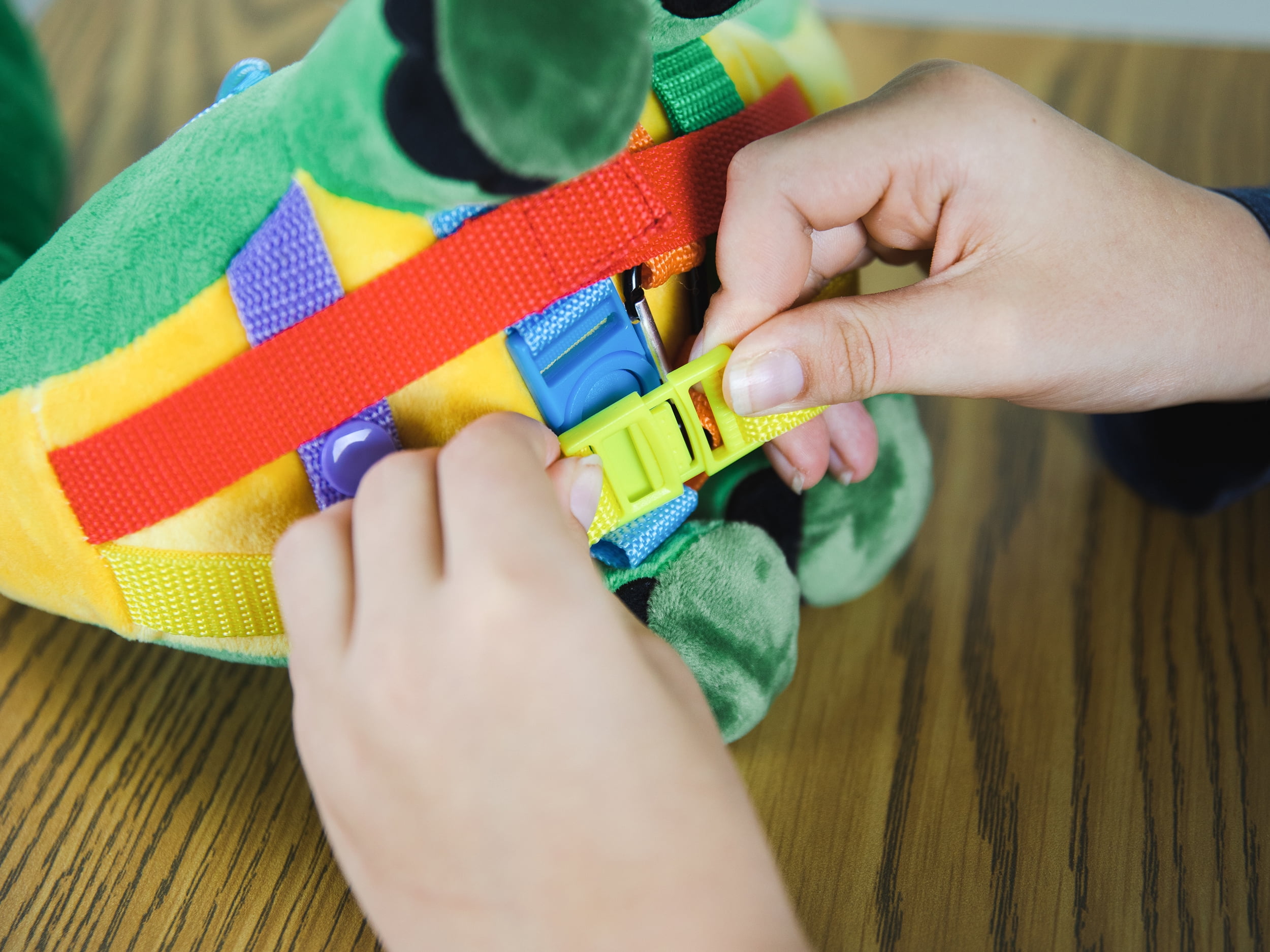 Bouncyband Busy Bee Sensory Activity Toy - Dinosaur