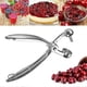thumbnail image 4 of Manual Cherry Olive Pitter Labor-saving Fruit Cores Removal Tool for Home, 4 of 5