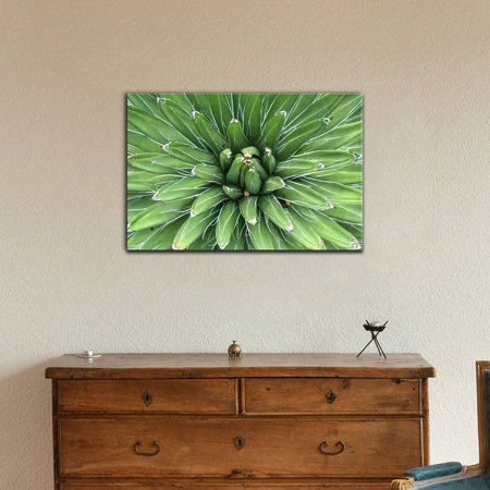 wall26 Floral Canvas Wall  Art  Sharp Pointed Agave Plant 