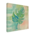 thumbnail image 2 of Studio Mousseau 'Beach Cove Leaves I' Canvas Art, 2 of 4