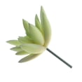 thumbnail image 4 of 10 x Succulenta Artificial Decoración de Hogar Jardín Oficina Materiales de Bricoje DIY de Plástico Baoblaze Planta Succulenta Artificial, 4 of 6