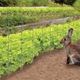 thumbnail image 4 of 36in H x 50ft L Galvanized Rabbit Guard, 4 of 5