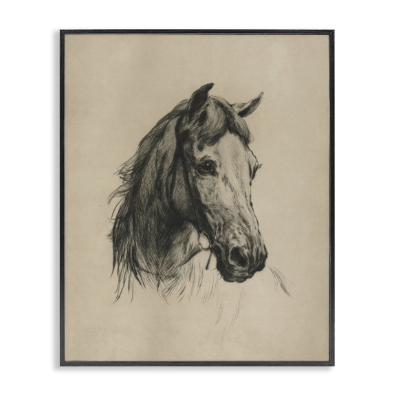 Stupell Industries Shabby Chic Charcoal Horse Portrait Black Framed Giclee Art, 11 x 14, by Arlington Prints