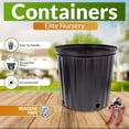 thumbnail image 4 of Elite Two Gallon, Black (Trade) Nursery Container Pot - 60/Bundle, 4 of 7