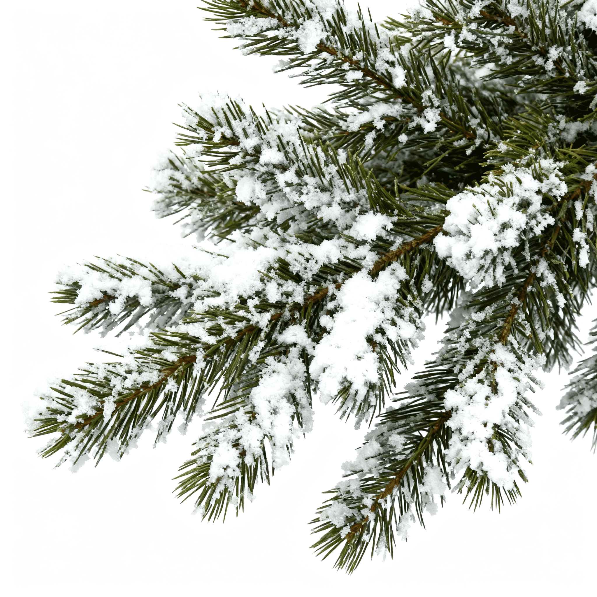 7.5ft Pencil Flocking Christmas Tree