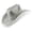 Silver, variant on FYEGRE Stylish Ladies Western Cowboy Hat Featuring Feathered Silver Trim And Illuminated Brim For A Fashionable Eye-Catching Silver One Size