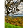thumbnail image 2 of Looney, Hollice 17x24 White Modern Wood Framed Museum Art Print Titled - USA-Virginia-Shenandoah National Park-fall color, 2 of 4