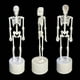 thumbnail image 5 of Inteprter Decoración de esqueleto de Halloween Decoraciones de iluminación alimentadas por Interesante Festival exquisito Adorn Lámpara LED de Iluminación navideña Iluminación blanca Inteprter HA067552-02, 5 of 6