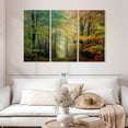 thumbnail image 2 of Elephant Stock Broceliande Colored Forest Wall Art - Horizontal Multi Panel Canvas - Living Room Wall Decor - Nature Multi Panel - Orange And Green Decor By Philippe Manguin - 50" x 32", 2 of 8