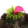 thumbnail image 3 of Mascota Tortuga Serpiente Terrario Beber Comida Agua Tazón Comedero - 008 008 Yinane Plato de agua para alimentos de reptiles, 3 of 8