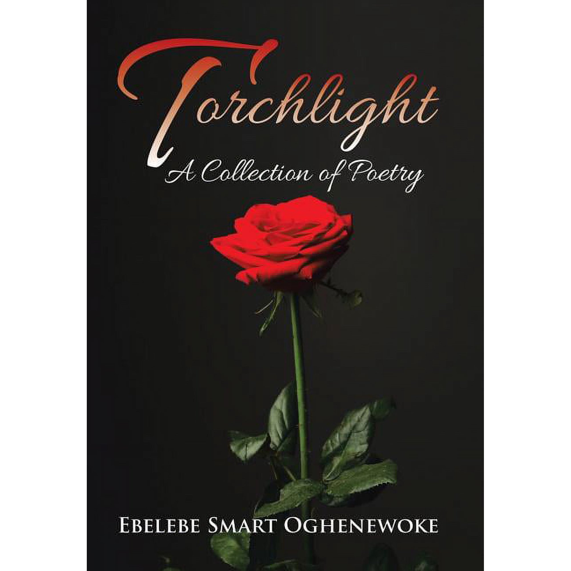 Torchlight: A Collection of Poetry (Hardcover)