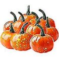 thumbnail image 1 of 10 Mini calabazas artificiales YONGSHENG decoraciones de Halloween para jardín 10 uds, 1 of 2