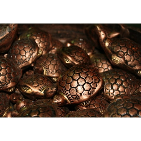 - Peel-n-Stick Poster of Collectible Shui Feng Metal Shell Tortoise Brown Poster 24x16 Adhesive Sticker Poster Print