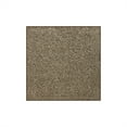 thumbnail image 3 of Koeckritz Rugs 32 oz Indoor Area Rug, Black & Tan, 7'x7' for Living Room, Bedroom, 3 of 6