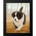 thumbnail image 2 of Silver, John 20x24 Black Modern Framed Museum Art Print Titled - Litterbug, 2 of 5