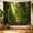 C, variant on XaaKee Tapestry Wall Hanging, Rainforest Pathway Tapestry For Bedroom, High-Quality Polyester Large Wall Tapestry For Living Room Bedroom Decor, 60x40Inch