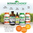 thumbnail image 7 of Botanic Choice Lemon Balm Liquid Extract, Alcohol Free, 2 fl. oz, 7 of 7