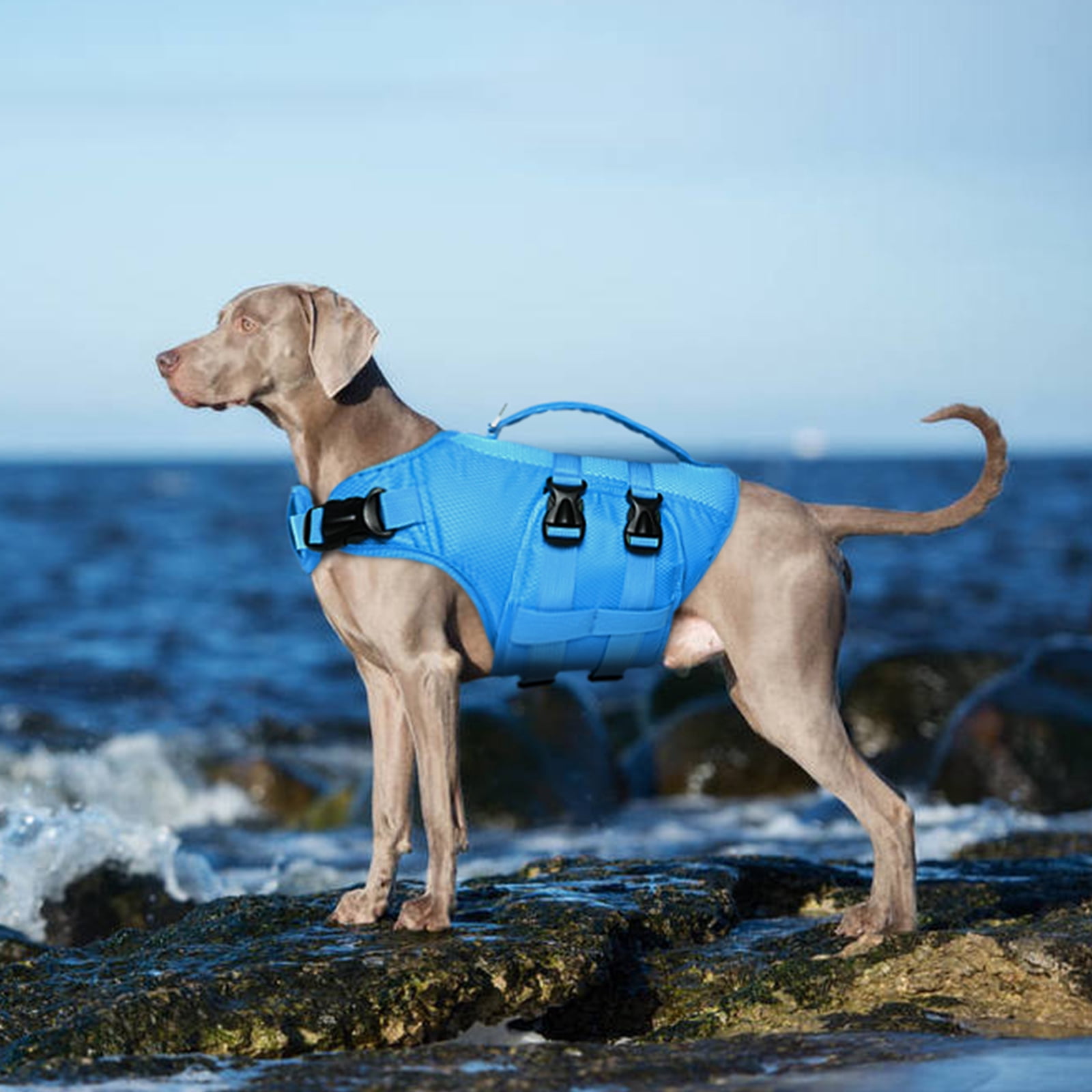Kuoser Dog Life Jacket, Reflective Life Vest with Rescue Handle for Small Medium Large Dogs, Blue, XL