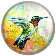 Hummingbird Art Under Glass Paperweight, Gift Boxed 3"