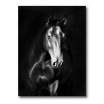Designart ' Close Up Portrait Of Black Kladruby Horse ' Farmhouse Canvas Wall Art Print