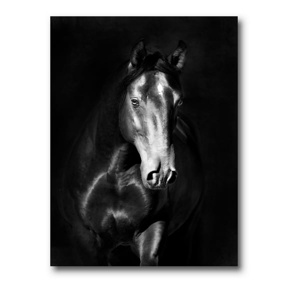 Designart ' Close Up Portrait Of Black Kladruby Horse ' Farmhouse Canvas Wall Art Print