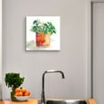 thumbnail image 2 of Masterpiece Art Gallery Potted Basil By Carol Robinson Canvas Art Print 12" x 12", 2 of 2