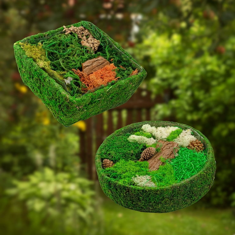Esterno Fairy Garden DISPLAY; DIY Dried Moss Enchanted Landscape Terrarium Starter Kit Round