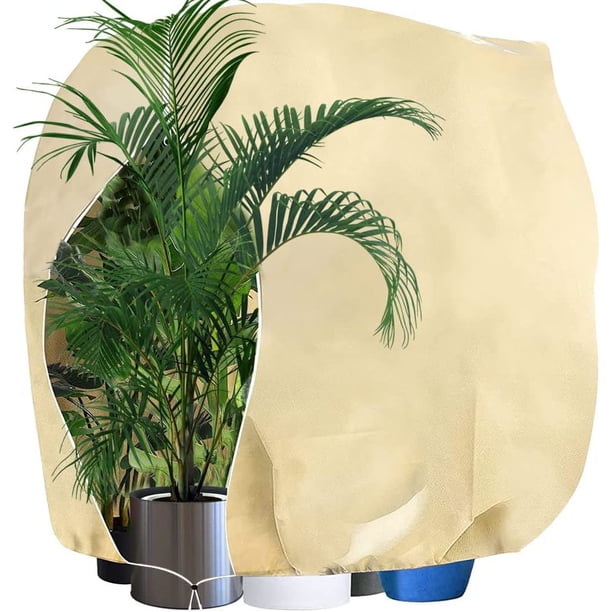 Cubierta protectora contra heladas para plantas Cubierta vegetal de invierno para plantas con cremallera y cordón Cubierta gruesa para plantas para palmeras Plantas de balcón Beige120*180cm