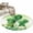 Green, variant on St. Patrick's Day Area Rugs 6'x9', Small Throw Rugs for Kitchen Dining room, Lucky Shamrock Watering Can Gnomes Daisy Wood Indoor Outdoor Rug Non-Slip Low Pile Carpet Runner Reversible Floor Mats