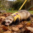 thumbnail image 4 of Small Pet Harness and Leash Set Adjustable Vest Style Walking Harness with Design Bell and Lead for Ferrets, 4 of 6